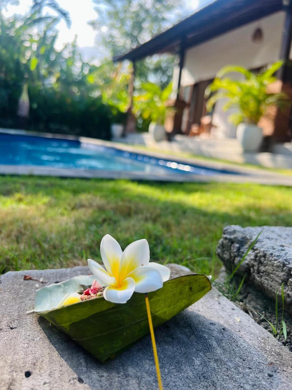 Wiryaroja Guest House Canggu Eksteriør billede